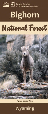 Big Horn  National Forest